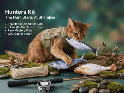 Lost Shores Adventures by My Virtual Kitty - MVK