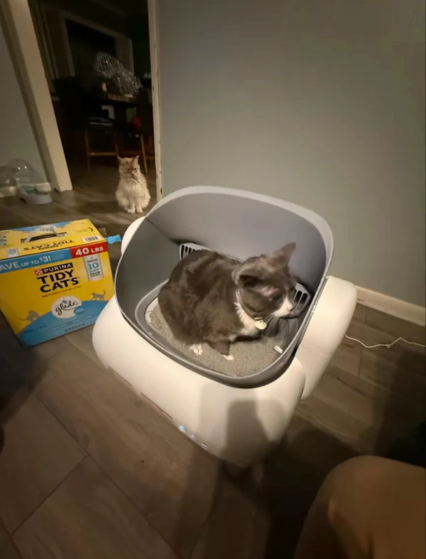A purchase you won't regret