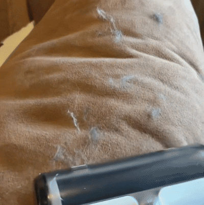 We Ran the Aura Across a Couch Covered in Pet Hair. Watch What Comes Out.